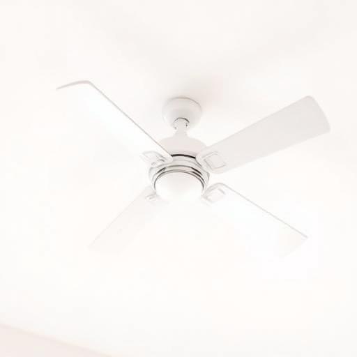 Fan service